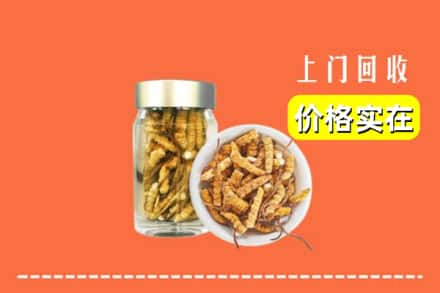 罗城县回收散虫草