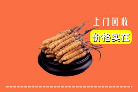 罗城县回收冬虫夏草