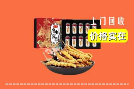 罗城县回收虫草